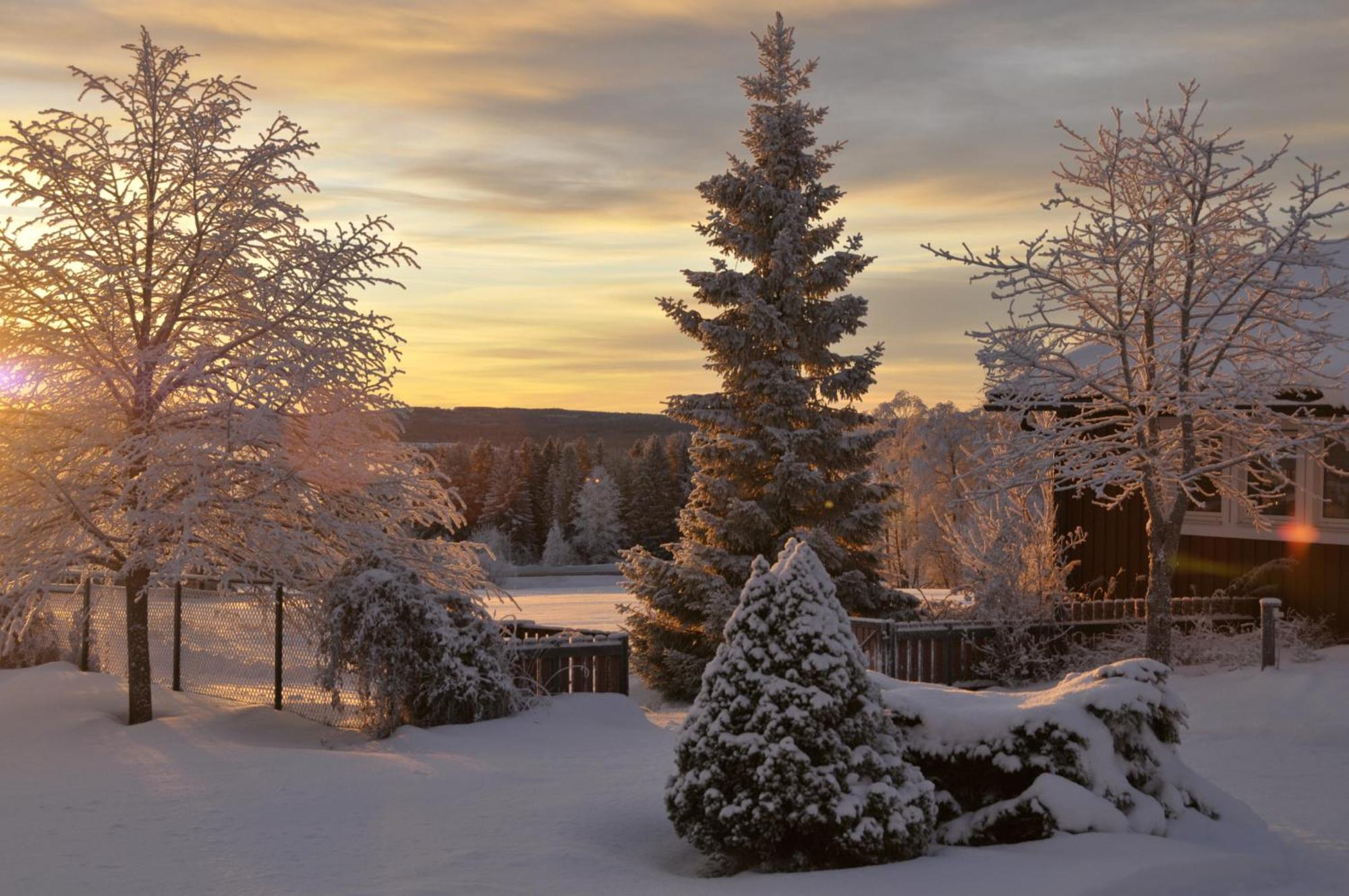 Langaenge Logi Bed and Breakfast Tandsbyn Eksteriør billede