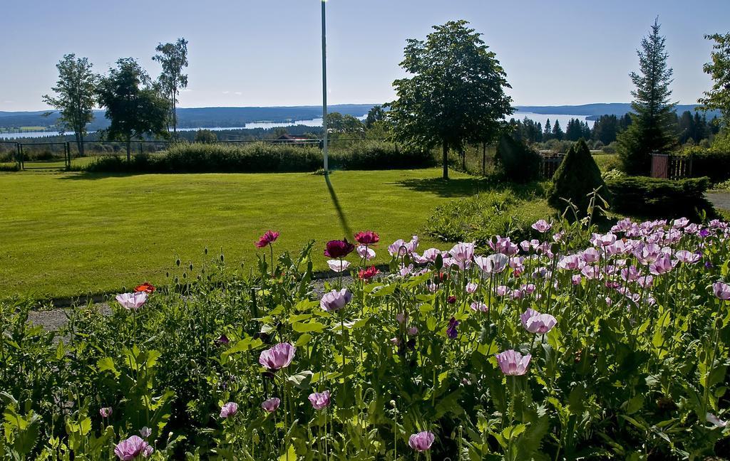 Langaenge Logi Bed and Breakfast Tandsbyn Eksteriør billede